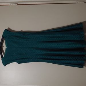 Danny and nicoles Green Dress